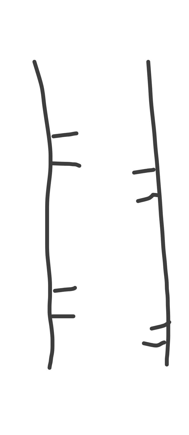 1000165323.jpg