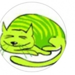 zoer